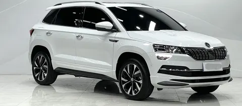 Skoda Karoq, 2023 год, автомобиль из Китая