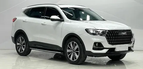 Haval H6, 2023 год, автомобиль из Китая