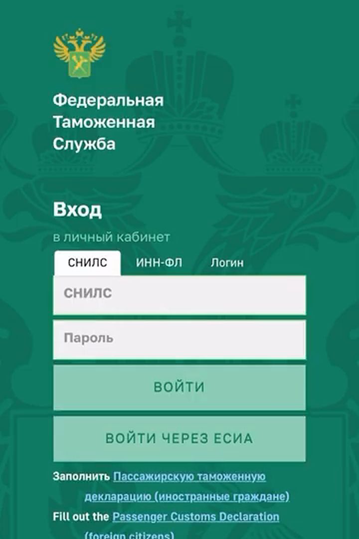 Вход в личный кабинет ФТС: кнопка «Войти через ЕСИА»