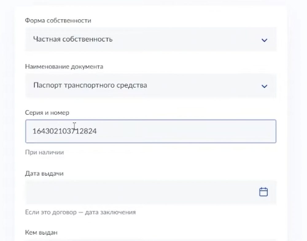 Форма данных о ПТС на Госуслугах: форма собственности, наименование документа, серия и номер